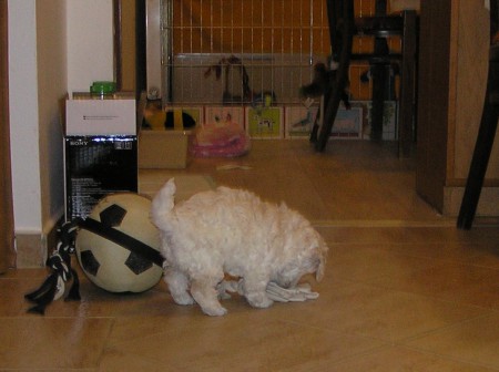 ... je to lákavé a velké ...